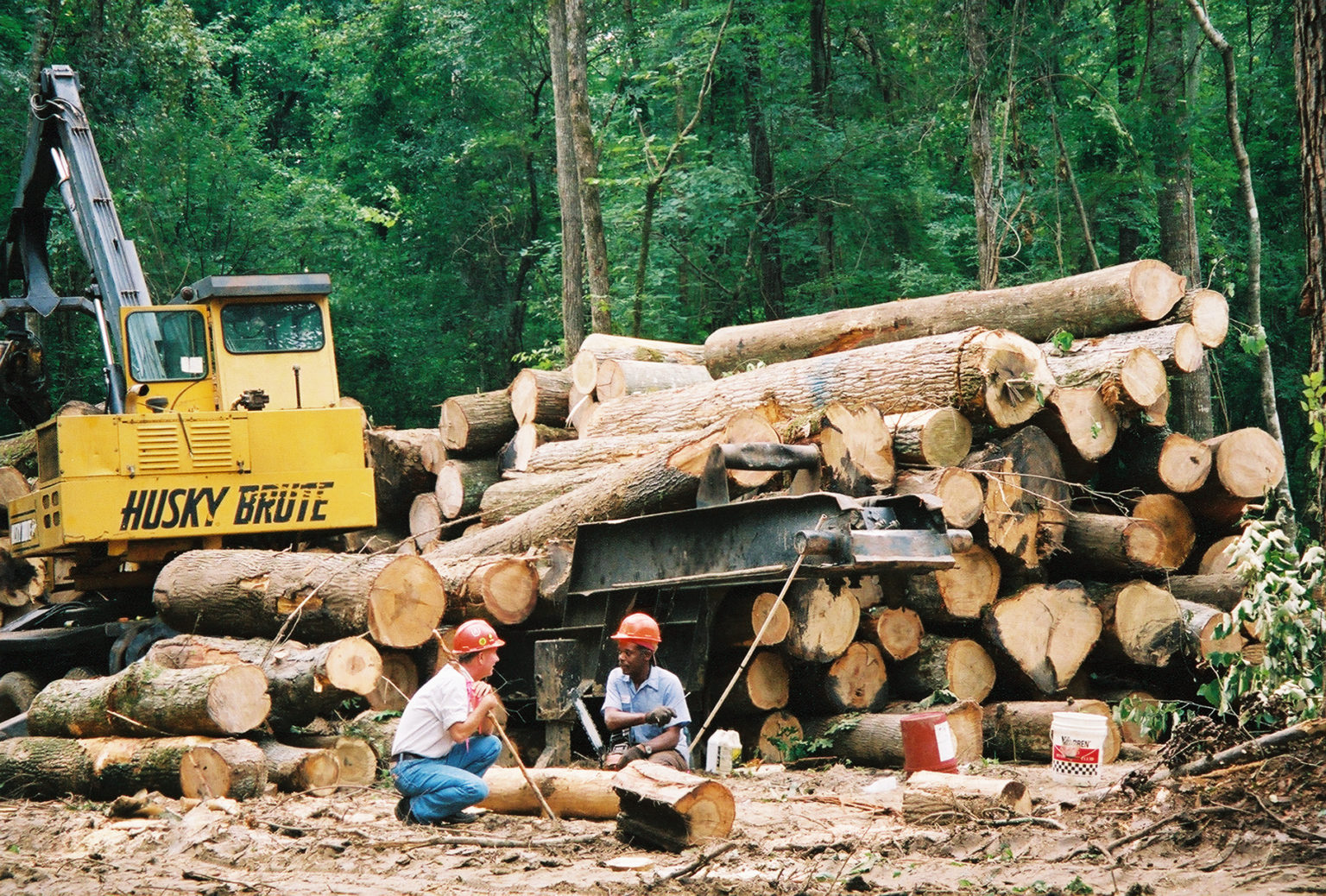 Selling Your Timber – Forestry Consultants, Inc.